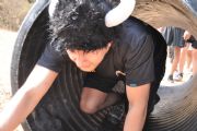 Z533485