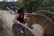Q528333