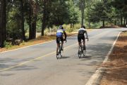 J529201