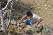 Z554190