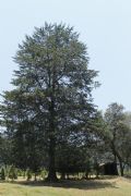 K550410