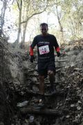 Q549564