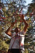 B538136