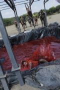 D579114