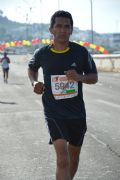 Y599311