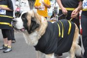 I655258