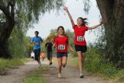 V664803