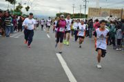 T684118