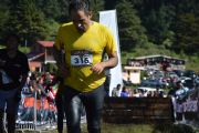 Y690236