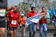 Q709879