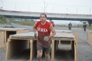 U768631