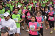 P780079