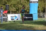 S799847