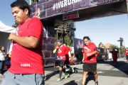 P803377