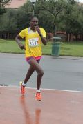 E813313