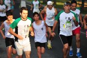 P815843