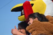 K833631