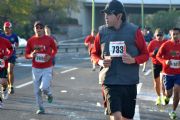 Q838686