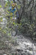 C841227