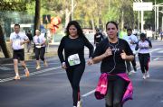 Q846349