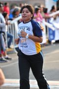 P900243