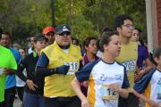 Q885800
