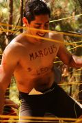 F931463
