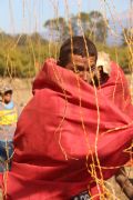 U931351