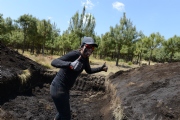 A942334