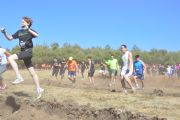 Y926306