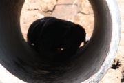 A928983