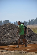 S938817