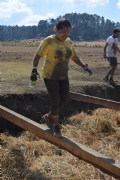 W939816
