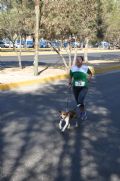E903386