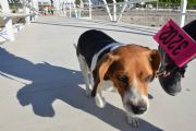 L925243