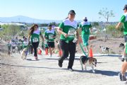 T925018