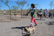 F915353