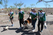 J915526