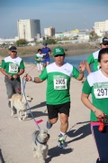 1.5 km, 3 km y 5 km