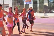 O919114