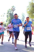 Q913783