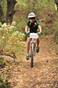 G908430