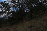 L912447