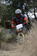 D911523