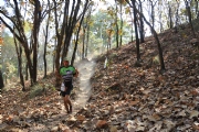 50km, 25km y 12.5km
