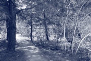 V969390