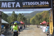J955281