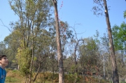 F979538