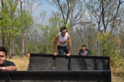 Z979612