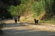 G971180